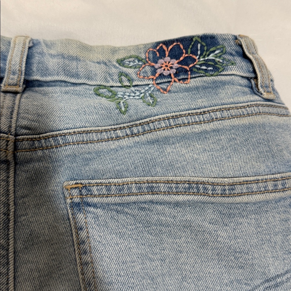 AE distressed embroidered shorts
